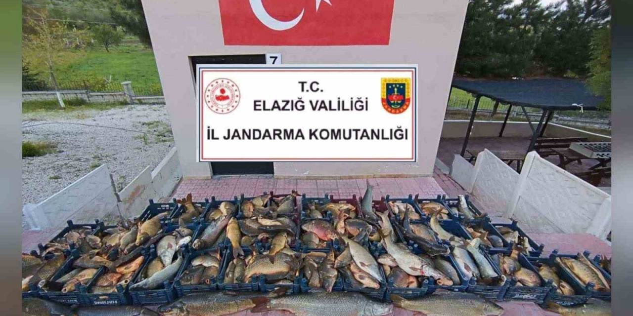 Elazığ’da Kaçak Balık Avına 16 Bin Lira Ceza