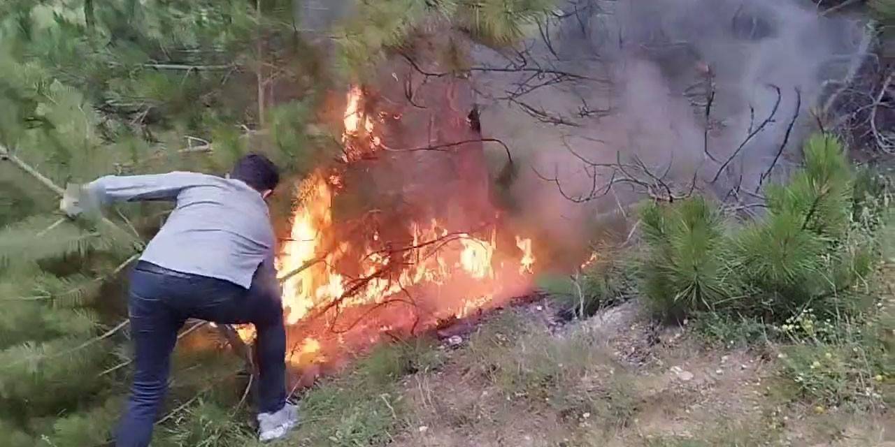 Son 10 Yılda Çeşitli Sebeplerden 276 Orman Yangını Meydana Geldi