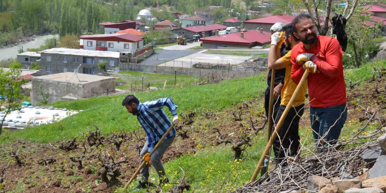 Şırnak’ta Köylülerin İmece Usulü Bağ Bozma Mesaisi Başladı