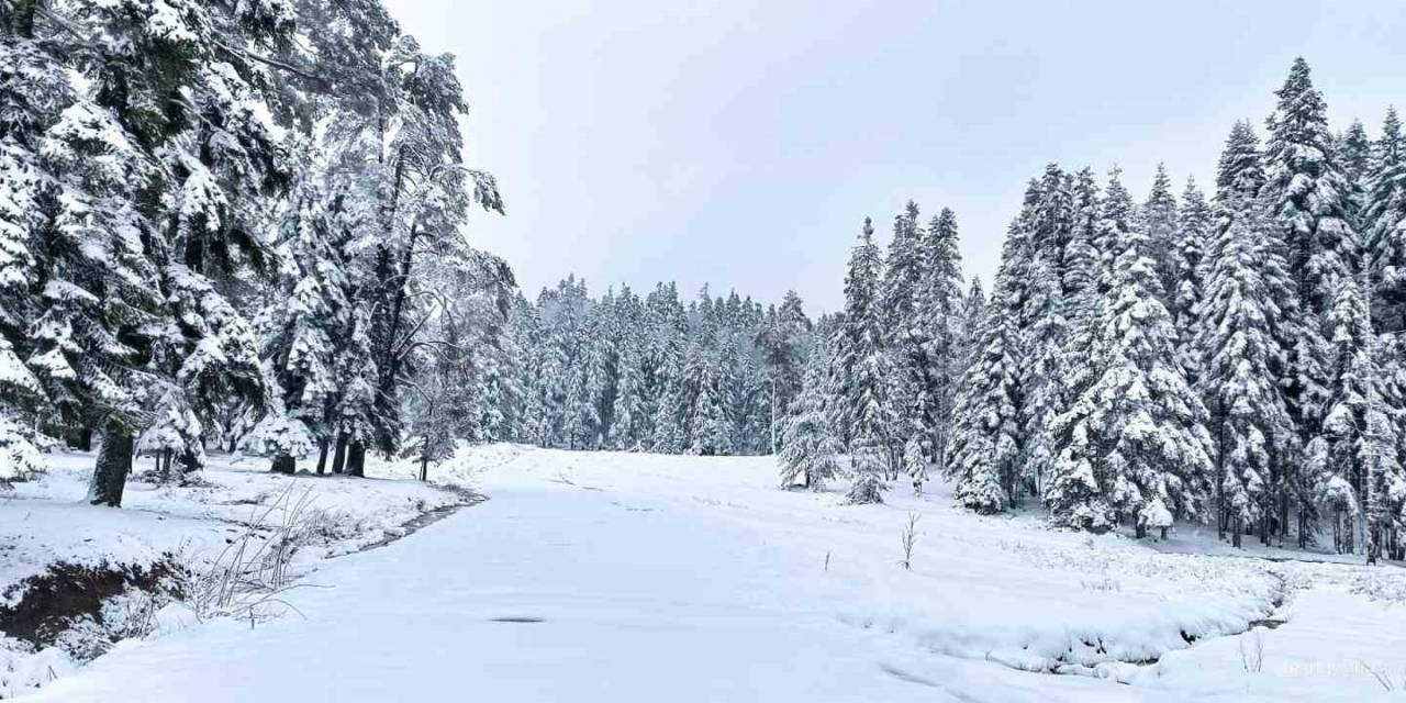 İlkbaharın Ortasında Kar Sürprizi