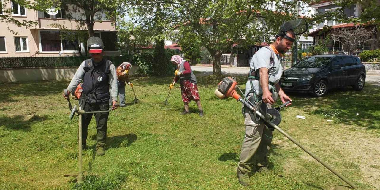 Burhaniye’de Ot Temizleme Timi Görev Başında