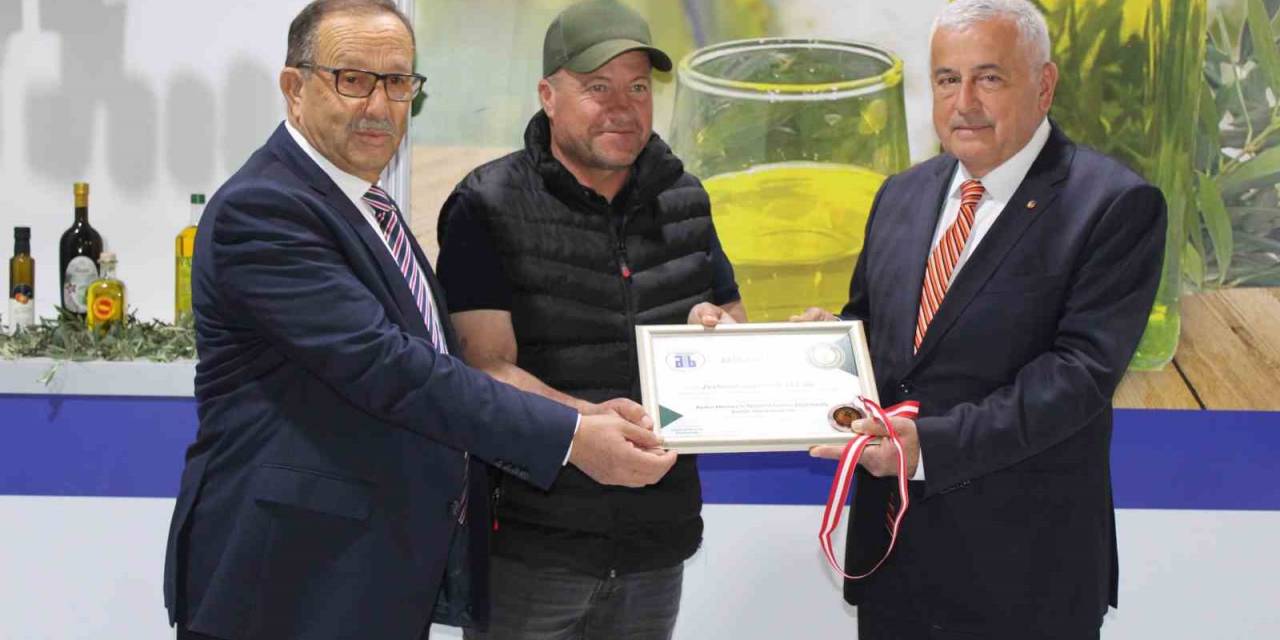 Memecik Zeytinyağında Kaliteli Ürünler Belirlendi