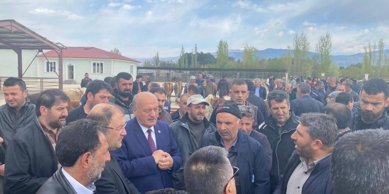 Erzincan Canlı Hayvan Pazarı Yeniden Açıldı