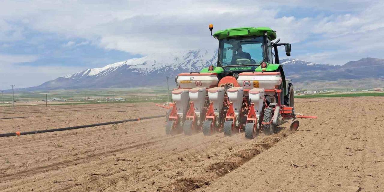 Adilcevaz’da Şeker Pancarı Ekimi Başladı