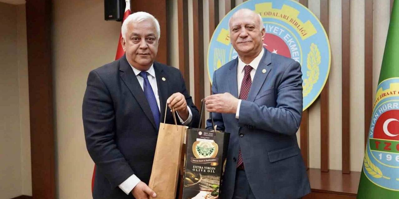 Diker, Zeytinyağında Tağşiş Ve Taklide Dikkatleri Çekti