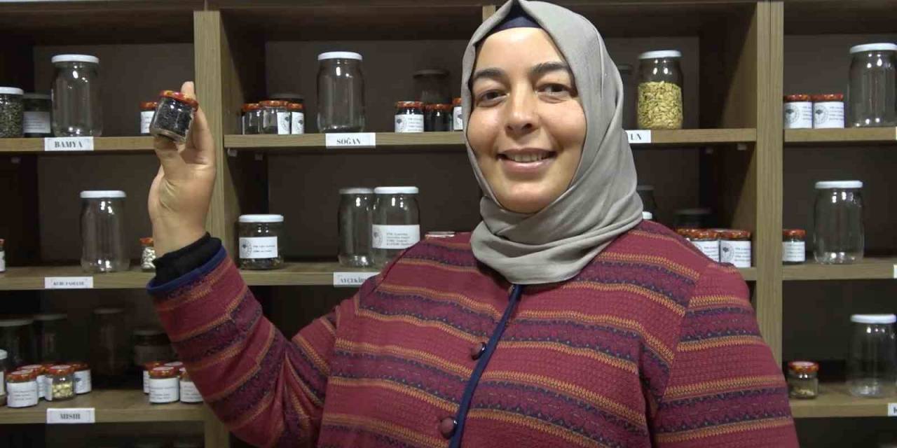 Muhafaza Edilen Ata Tohumları Çiftçilere Dağıtıldı