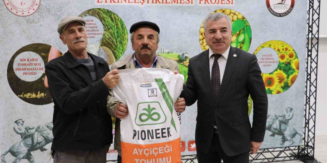 Üreticiye Yağlık Ayçiçeği Tohumu Desteği