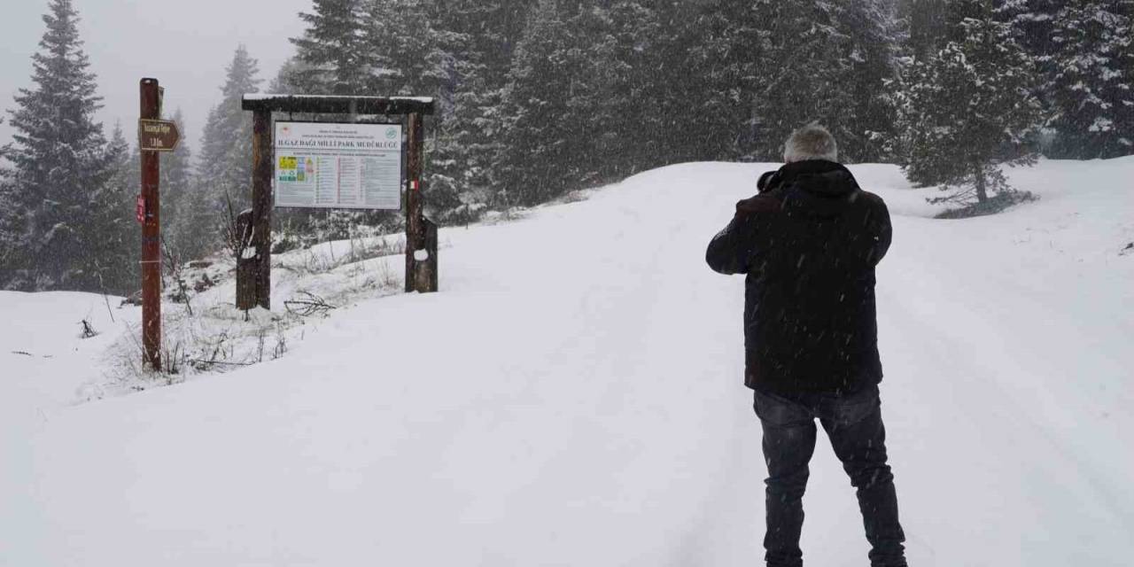 Nisan Ayının Son Günlerinde Ilgaz Dağında Kar Yağışı Etkili Oluyor