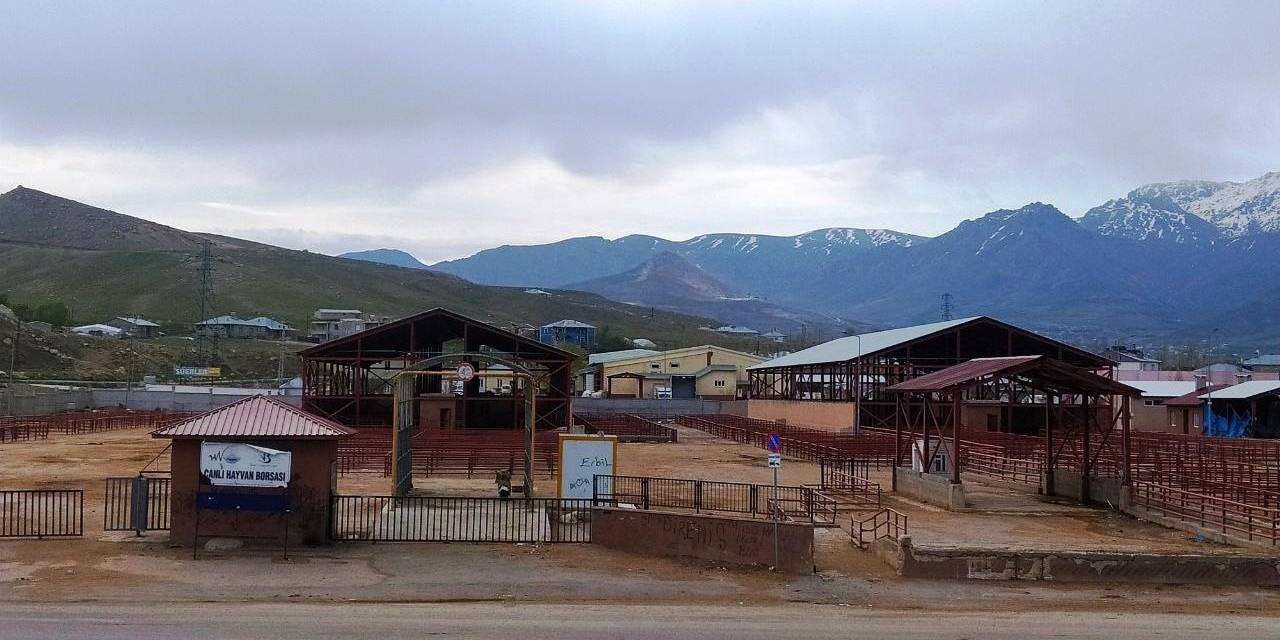 Şap Hastalığı İle İlgili Yasak Kalktı