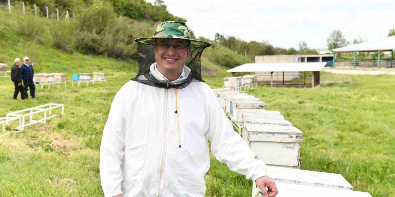 Türkiye’nin İlk Arı Pazarı Bursa’da Kuruldu