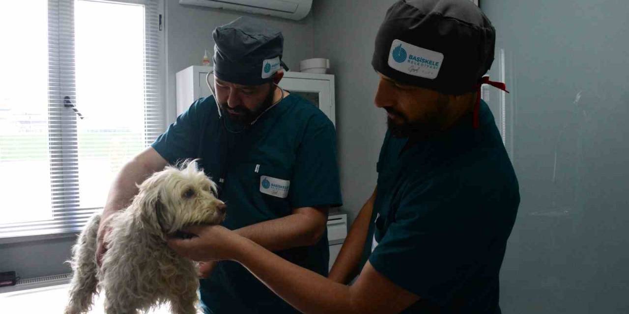 Yeni Proteo’lar Bu Bakım Evinde Yetişecek