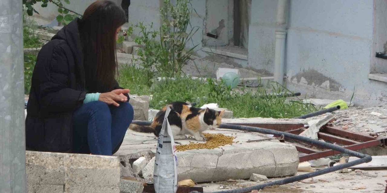 83 Gündür Kekik’i Yıkık Binalar Arasında Arıyorlar