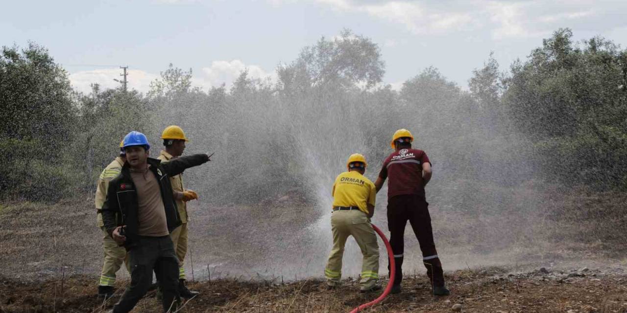 Köyceğiz Ve Dalaman Orman İşletme Müdürlüklerinde İşbaşı Eğitimi Düzenlendi