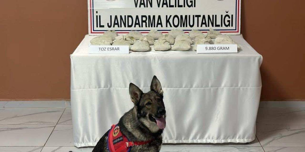 Van’da 9 Kilo 880 Gram Toz Esrar Ele Geçirildi