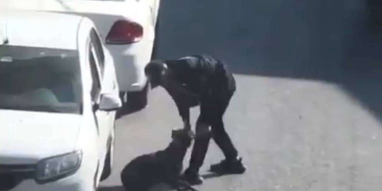Beyoğlu’nda Köpeğe Eziyet Eden Şahıs Gözaltına Alındı