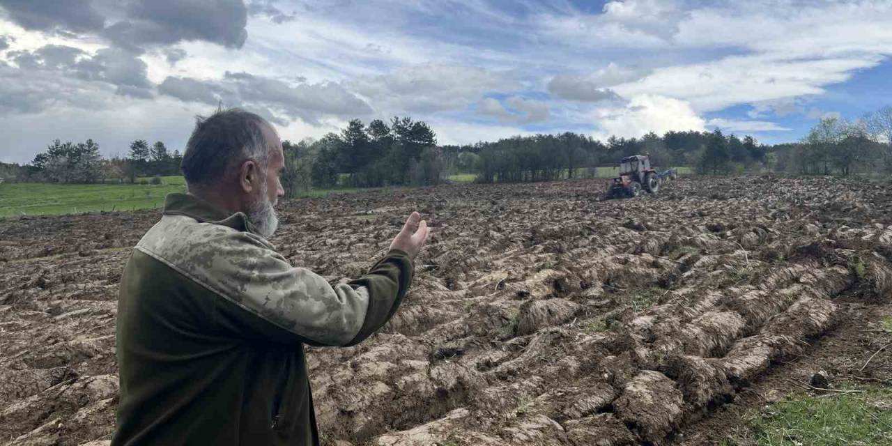 Yarım Asırdan Fazla Süredir Boş Kalan Tarım Arazisi Karabuğday İle Filizlenecek