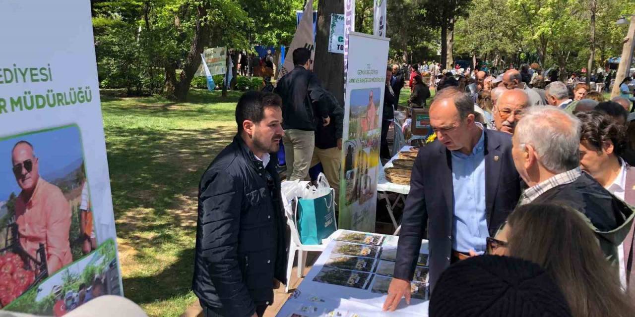 Gemlik’in Tohumları Çanakkale’de