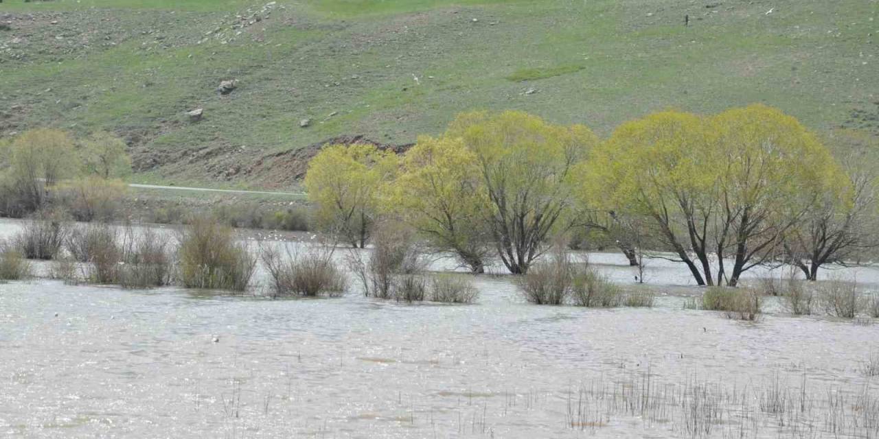 Kars’ta Ağaçlar Baraj Suları Altında Kaldı