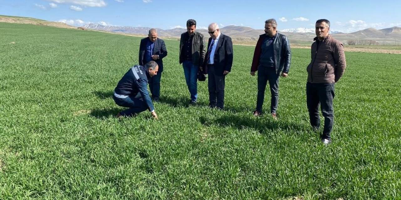 Mart Ve Nisan Yağışları Sevindirdi