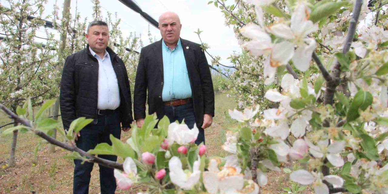 Karaman’da 12 Milyon Elma Ağacı Aynı Anda Çiçek Açtı