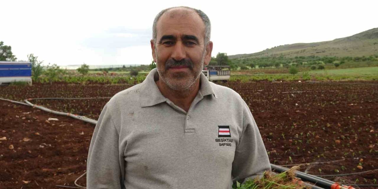 Kilis’te Çiftçiler 1 Mayısta Biber Fidelerini Toprakla Buluşturdu