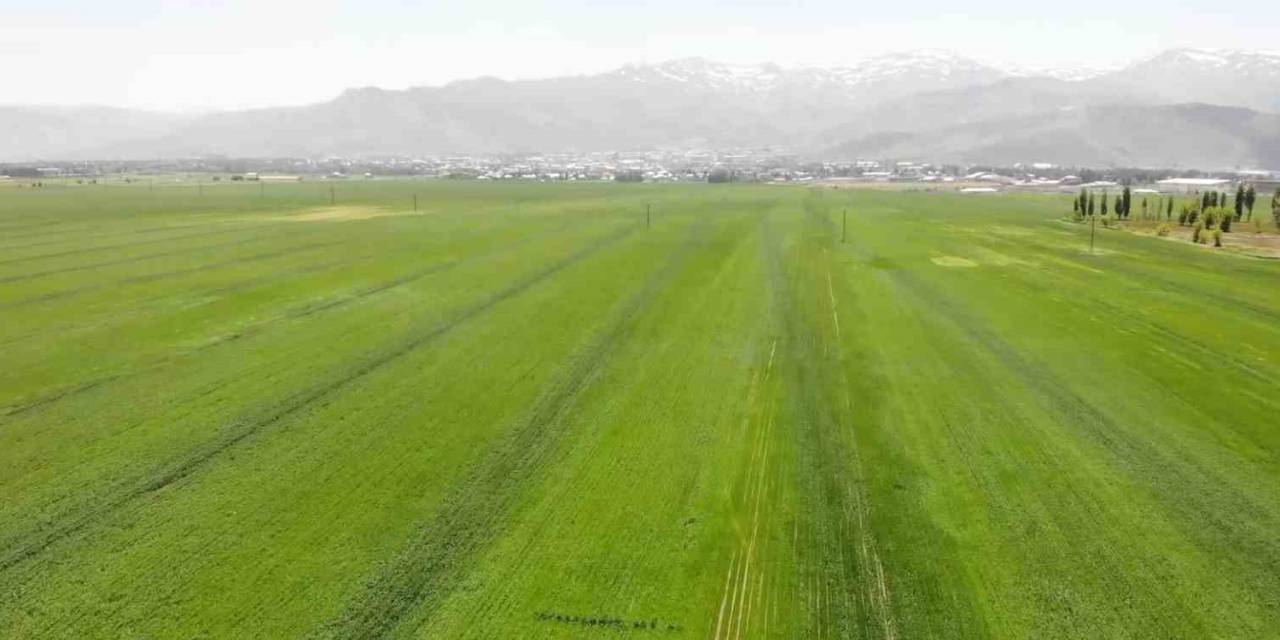 Muş, 1,8 Milyon Dolar İle İhracatını En Çok Artıran İkinci İl Oldu