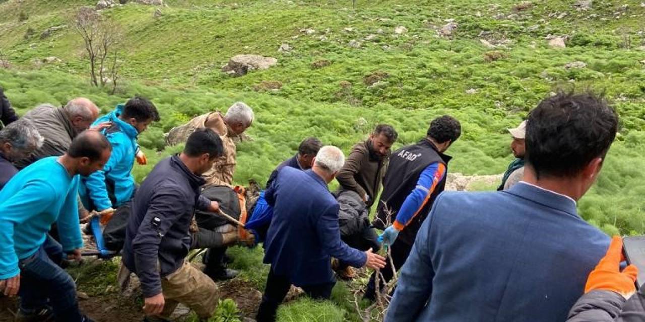Siirt’te Yaban Bitkisi Toplarken Kayalıklardan Düşen 60 Yaşındaki Adam Öldü