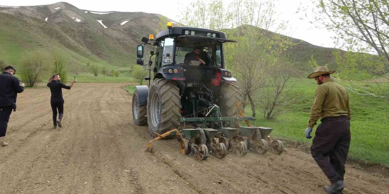 Yüksekova’da 35 Yıl Aradan Sonra Şeker Pancarı Ekimi Yapıldı