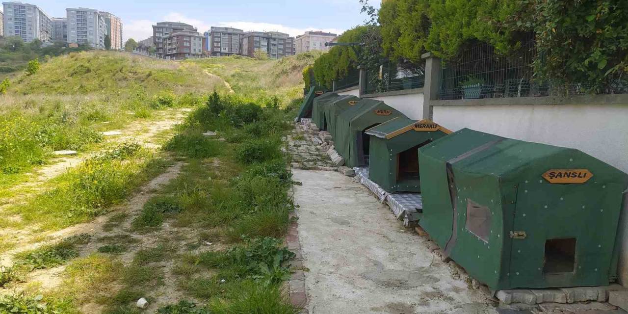 Otomobiliyle  Köpeği Ezdi, Umursamadan Yoluna Devam Etti