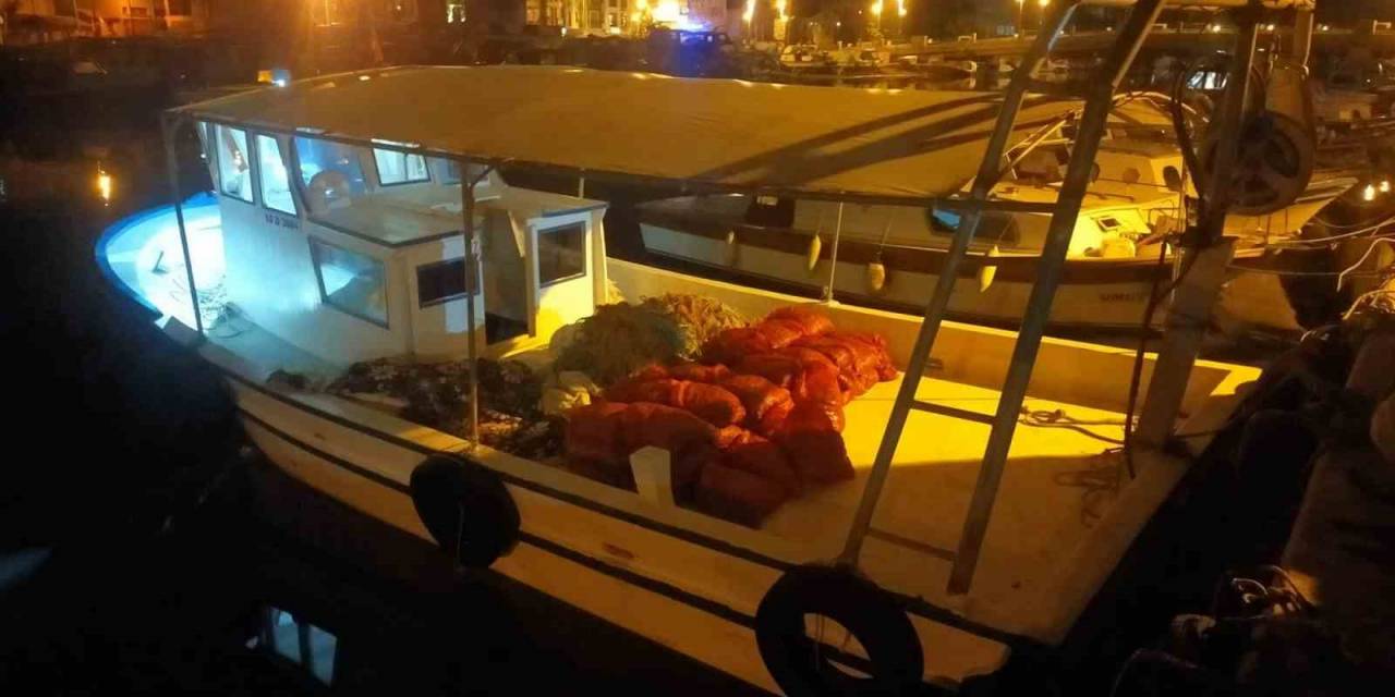 Çanakkale’de Değeri 2 Milyon Tl Olan Akivades Ele Geçirildi