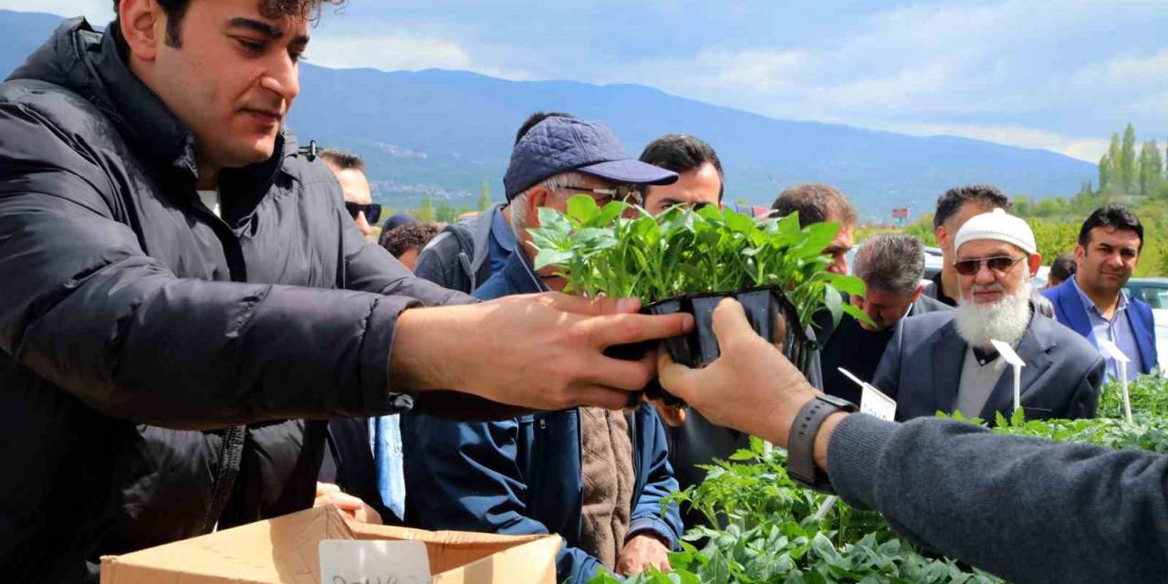 Akademik Fidelerin Satışı Başlatıldı