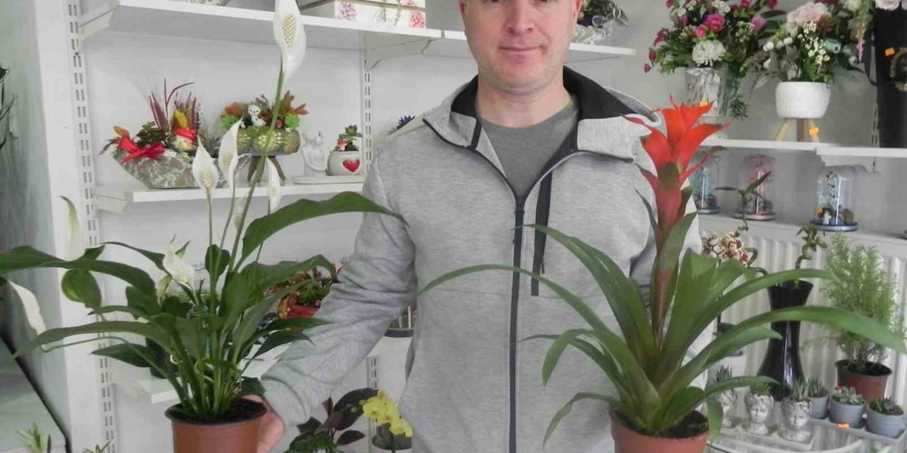 Hava Değişiminden Çiçeklerin Olumsuz Etkilenmemesi İçin Önemli Tavsiyelerde