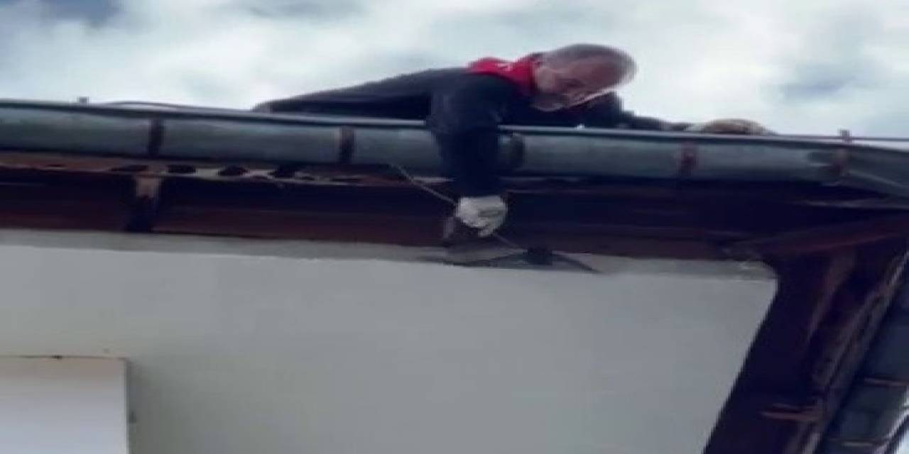 Boğazına İp Dolanan Ebabil Kuşunun Yardımına İtfaiye Koştu