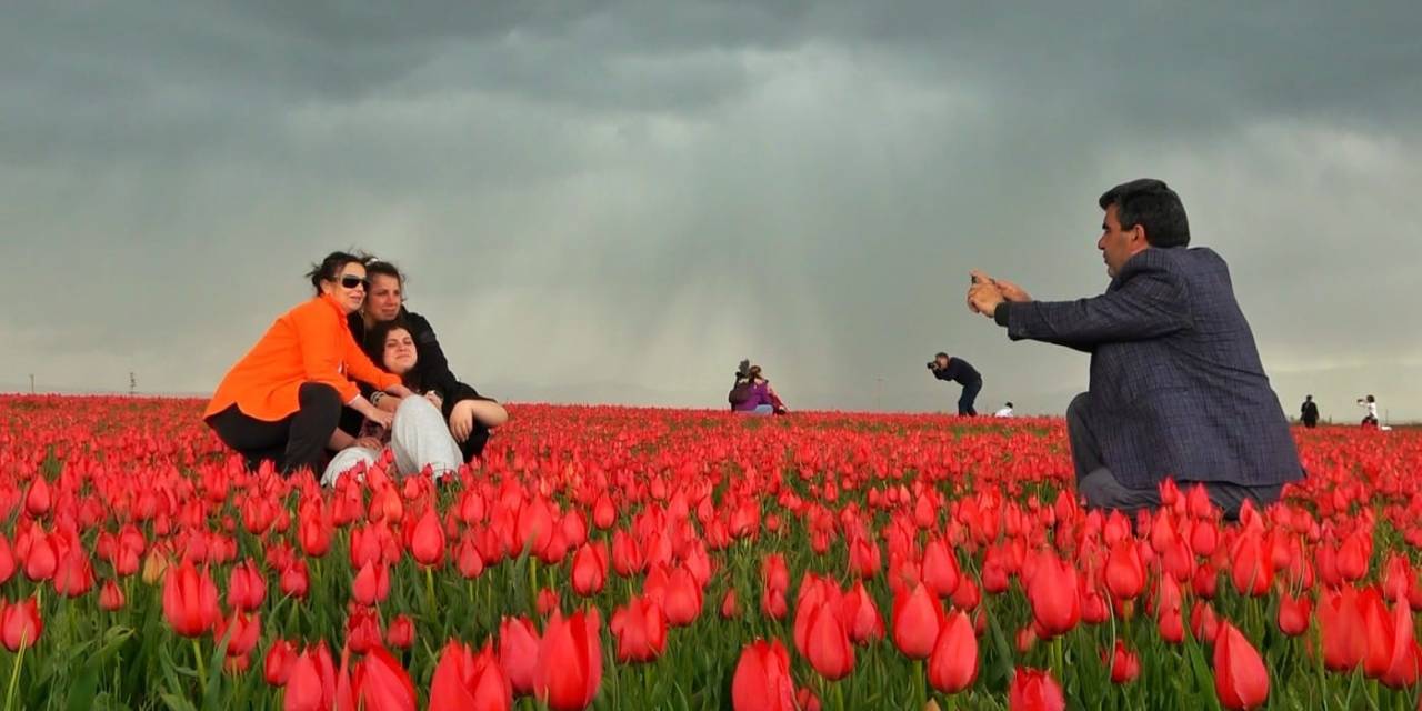 Muş’ta 15 Günlük Lale Devri Başladı