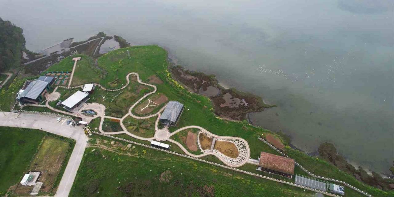 Altınova Belediyesi Tıbbi Ve Aromatik Bitkiler Bahçesi Şifa Merkezine Dönüyor