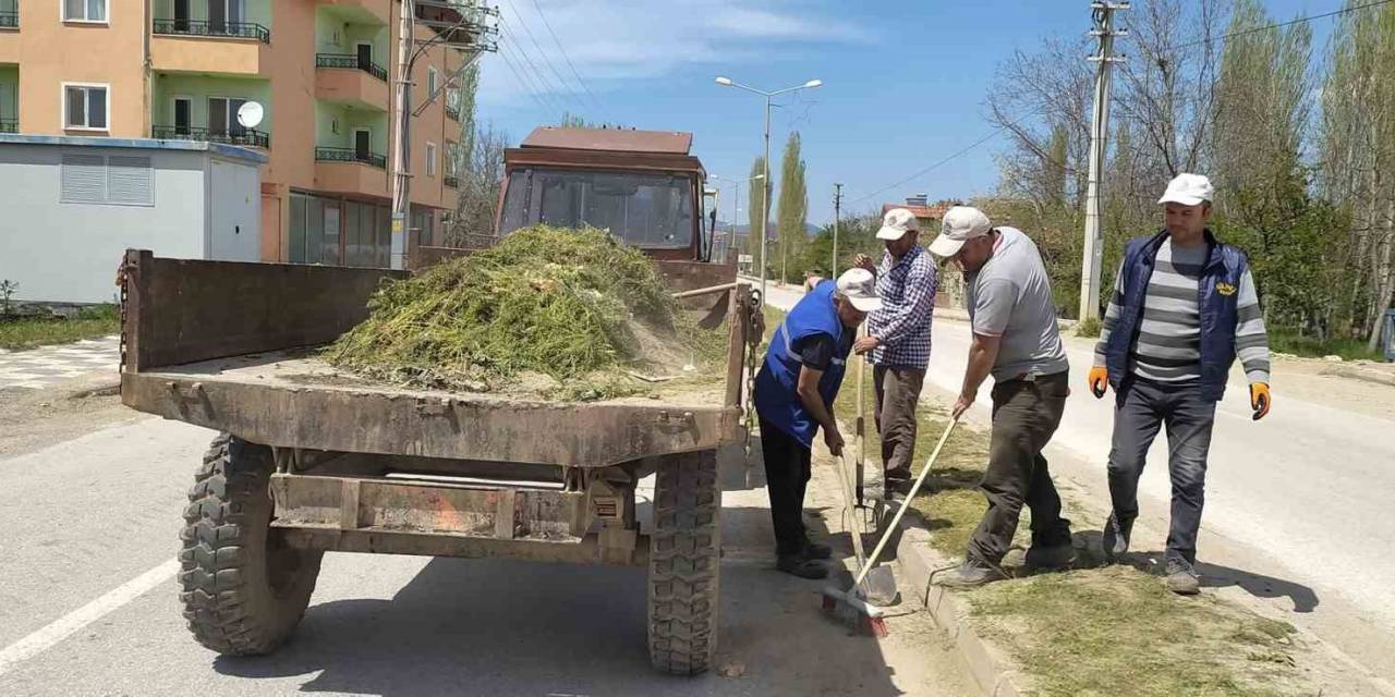 Hisarcık’ta Yabani Ot Temizliği