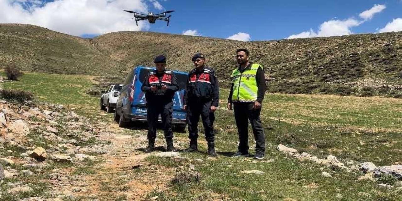 Kaybolan Hayvanları Dron İle Buldular