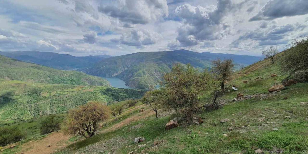Elazığ’da Makinalı Toprak İşleme Çalışmaları Başladı
