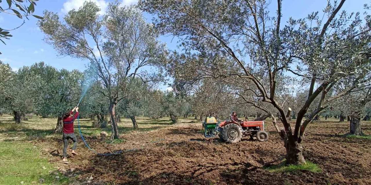 ’halkalı Leke Hastalığı’ İçin İkinci İlaçlama Uyarısı