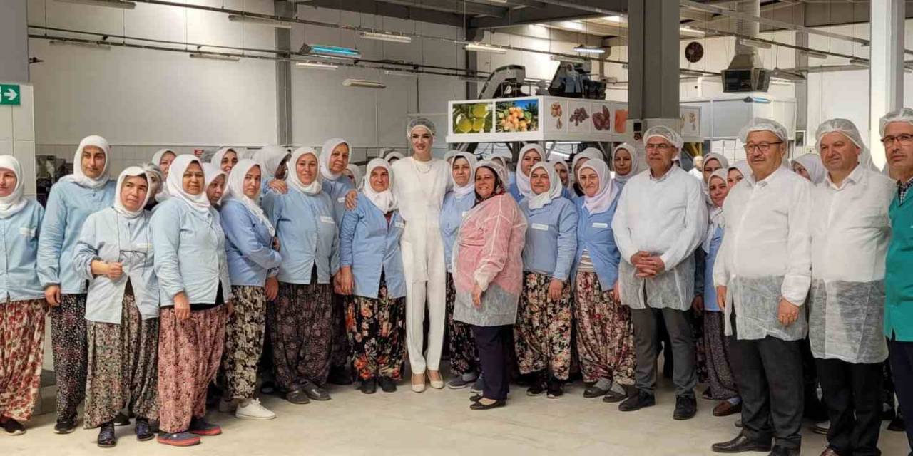 Ak Parti Aydın Milletvekili Adayı Sarıbaş, Hemcinsleri İle Bir Araya Geldi