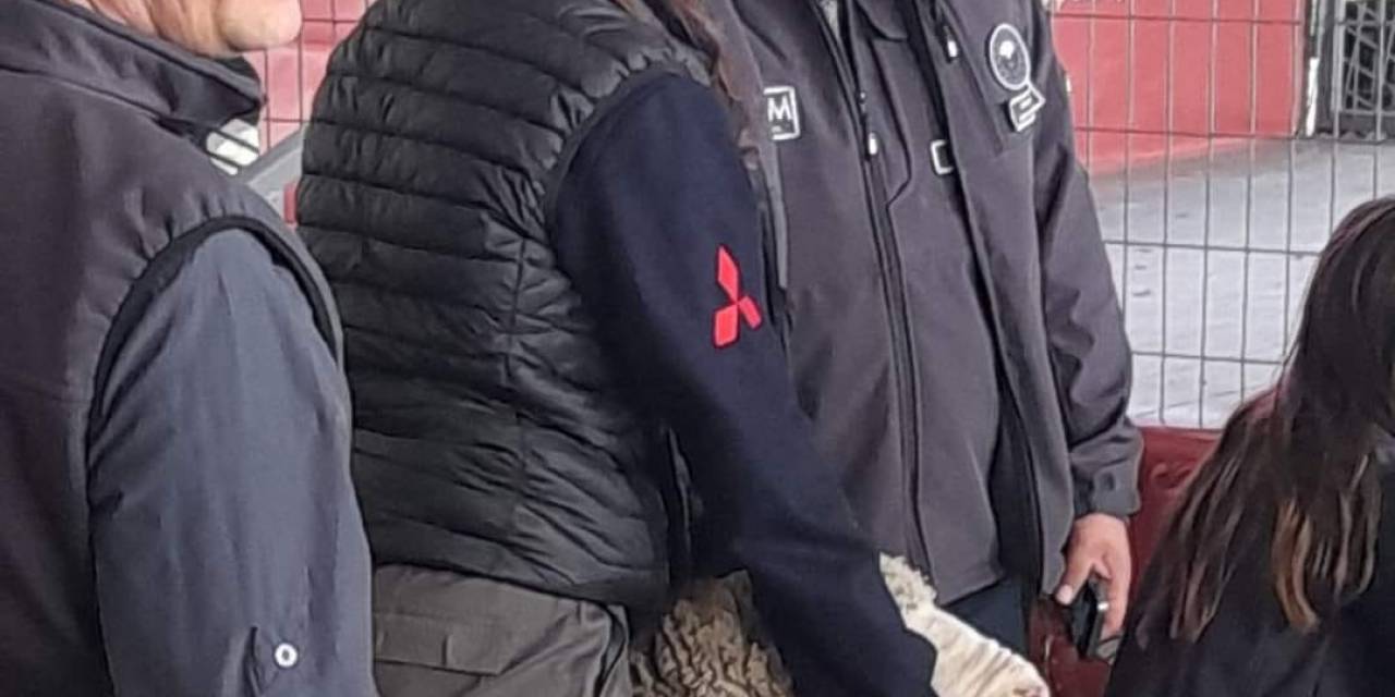 Karacabey Merinos Irkı Koç Rekor Fiyata Satıldı