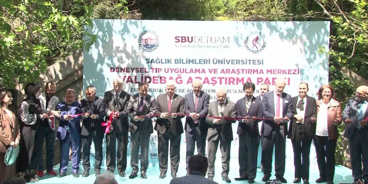 Deneysel Tıp Uygulama Ve Araştırma Merkezi Üsküdar’da Açıldı