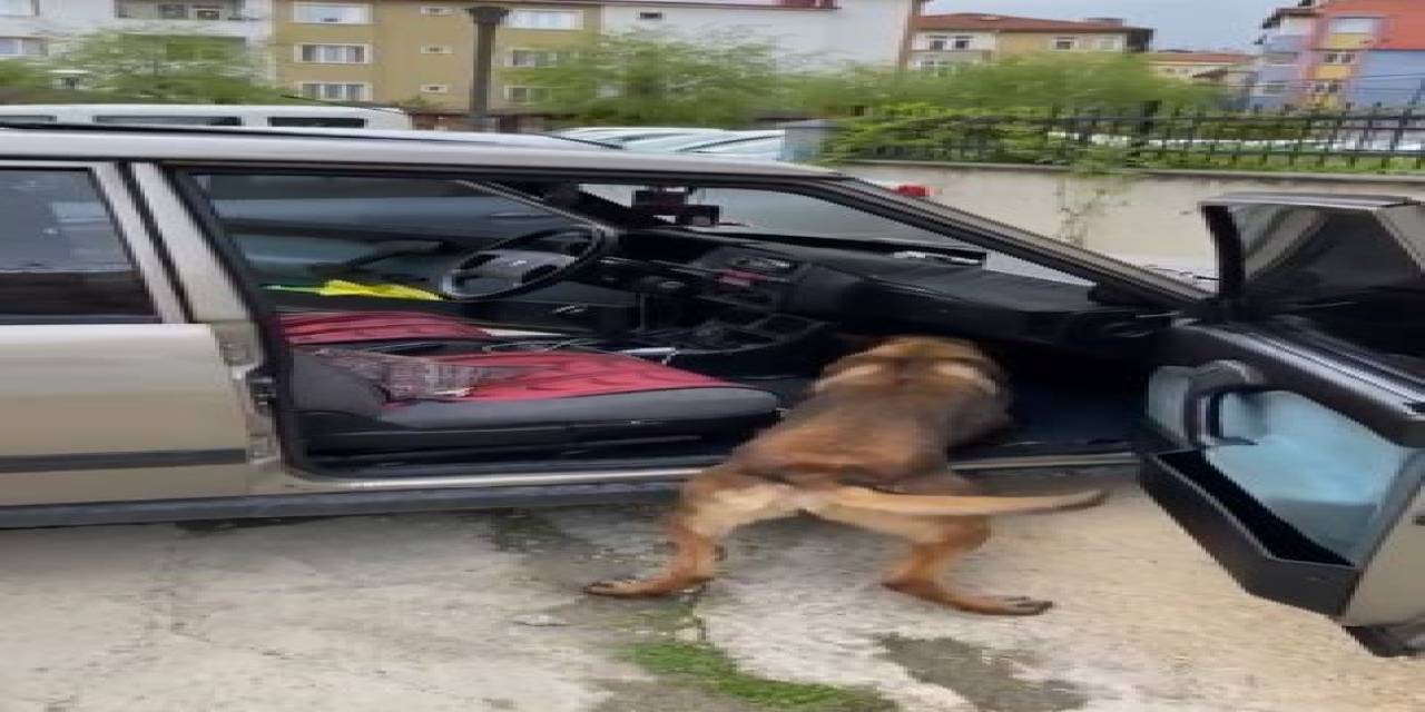 Otomobildeki Uyuşturucu Zulası "ceku" İle Böyle Tespit Edildi