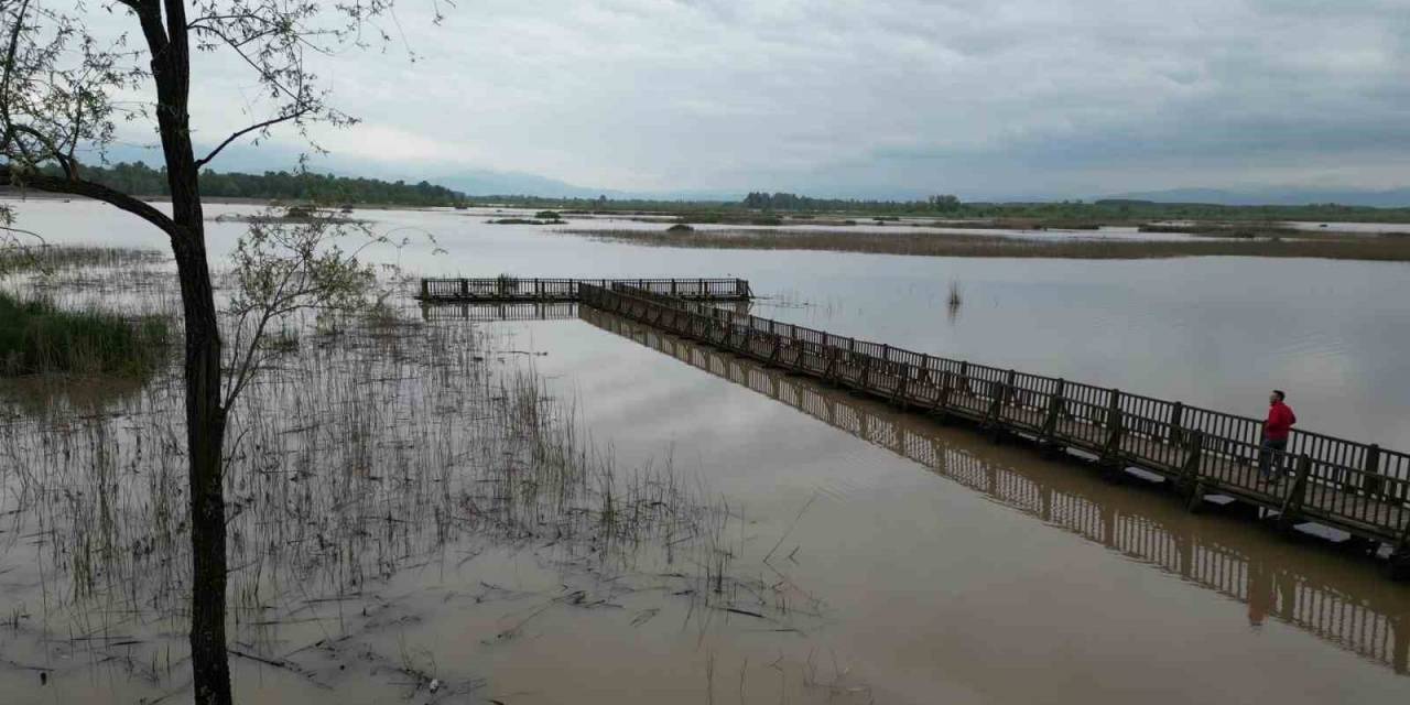 Yağış Ve Eriyen Karlar Gölün Su Seviyesini Yükseltti