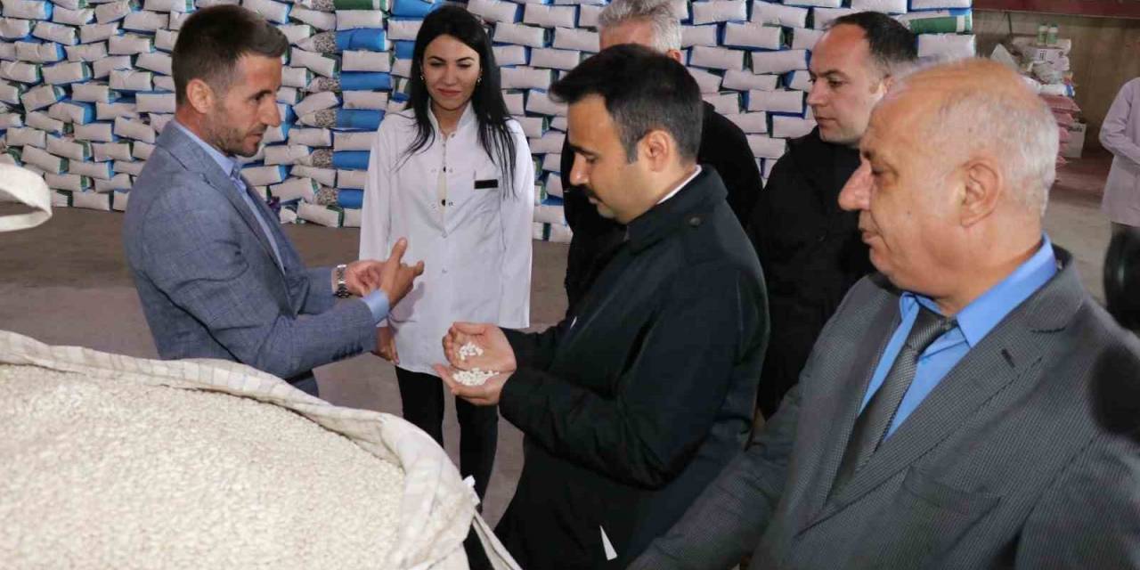 Ahlat Kuru Fasulye Üretiminde Merkez Olma Yolunda