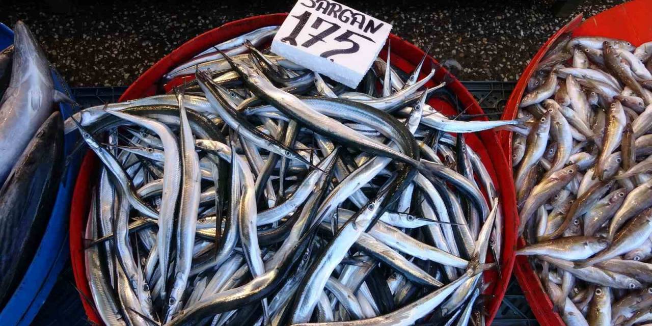 Kıyı Balıkçıları Da Umut Olmadı