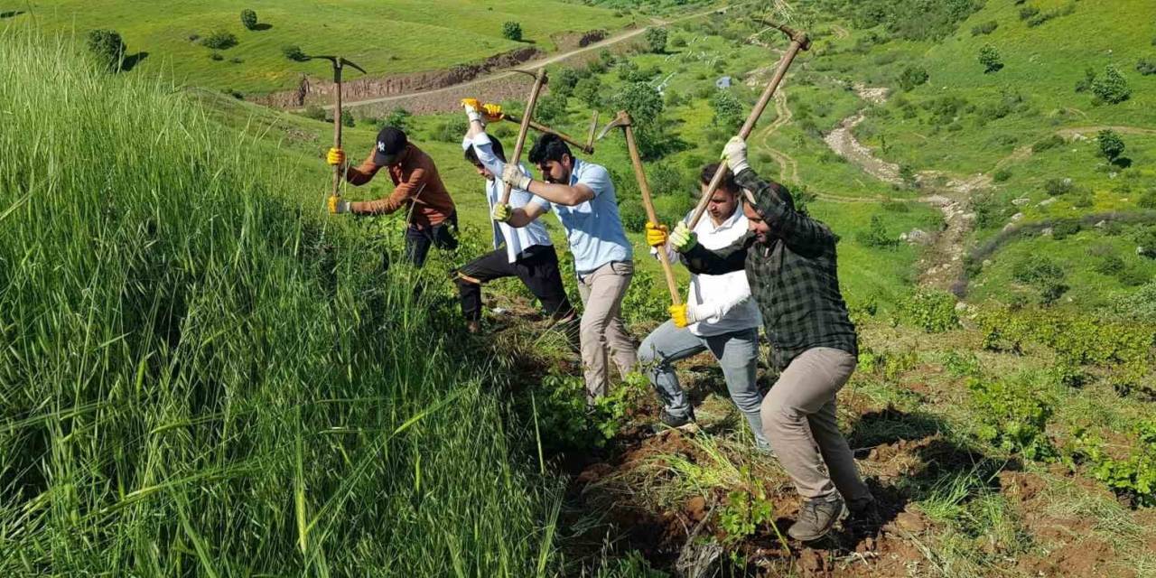 Derecik’te Çiftçiler İmece Usulü İle Birbirlerine Yardım Ediyor