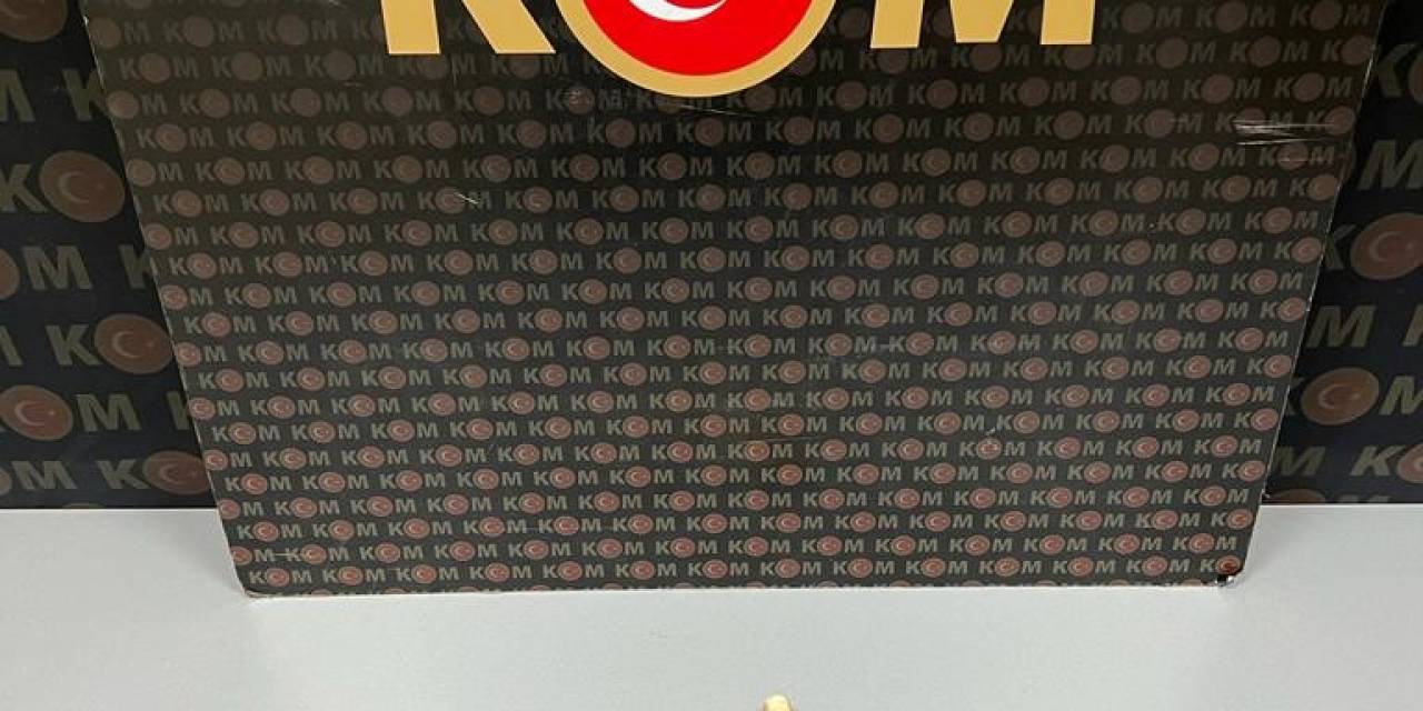 Samsun’da Uygulamada Tarihi Eser Ele Geçirildi
