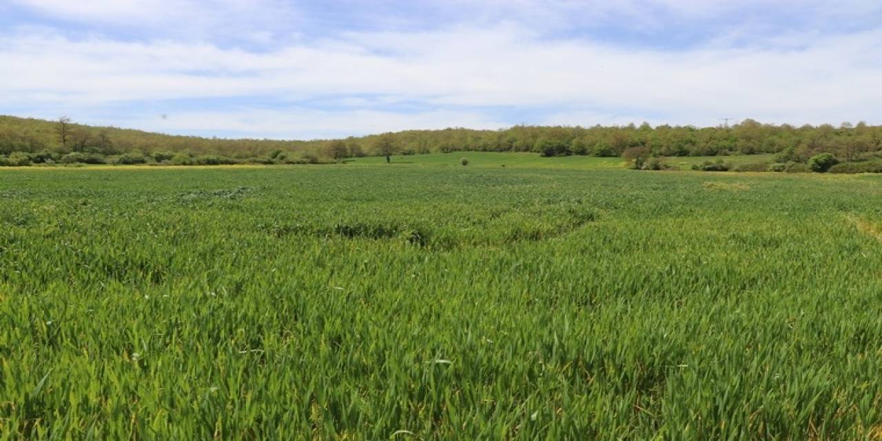 Tarım Arazilerinde Taban Patlatmasının Önemi