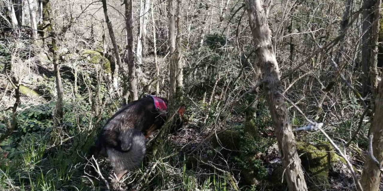 5 Gün Önce Kaybolan Turist “cayrokopter” Ve 110 Personelle Aranıyor